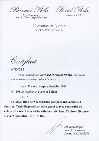 N° 19 1c vert-olive, bloc de 9 reconstitué comprenant