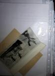 1937-69, RUSSIAN EXPEDITIONS TO THE POLES: Attractive