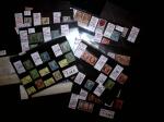 1900-1950 Petit lot de variétés