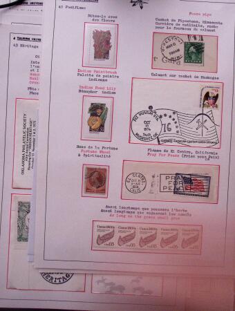 1840-2000, 2 Exhibition collections : Amerindians &
