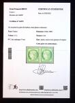 N° 2 15c vert en paire neuve avec sa gomme d'origine,