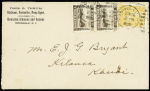 1894 2c Brown(2) and 1c orange tied by HONOLULU JUN