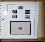 1892 Santa Maria, Nina and Pinta: Extensive and specialised