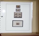 1892 Santa Maria, Nina and Pinta: Extensive and specialised