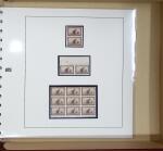 1892 Santa Maria, Nina and Pinta: Extensive and specialised