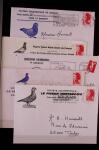 Jolie collection sur le thème PIGEONS
