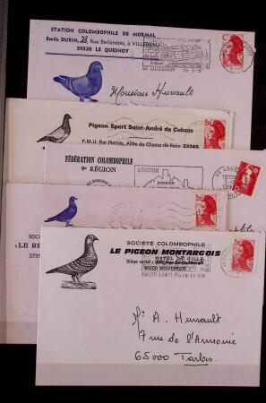 Jolie collection sur le thème PIGEONS