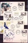 Jolie collection sur le thème PIGEONS