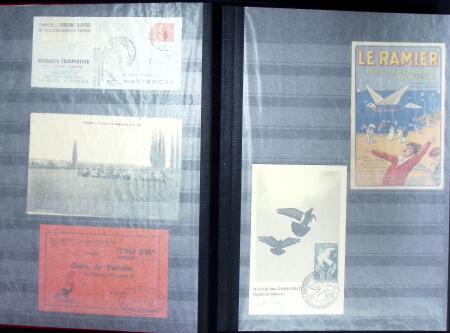 Jolie collection sur le thème PIGEONS