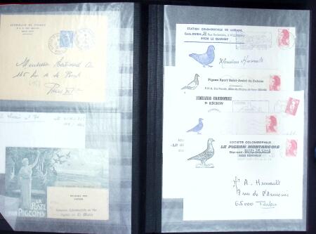 Jolie collection sur le thème PIGEONS