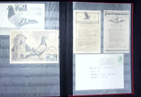 Jolie collection sur le thème PIGEONS