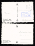 TAAF n°4 et 5, 5F et 8F otarie, OBL CAD "Iles S. Paul et Amsterdam TAAF" (7 nov et 1 dec 1956) sur 2 cartes maximum (otarie du zoo d'Anvers - Belgique). TB