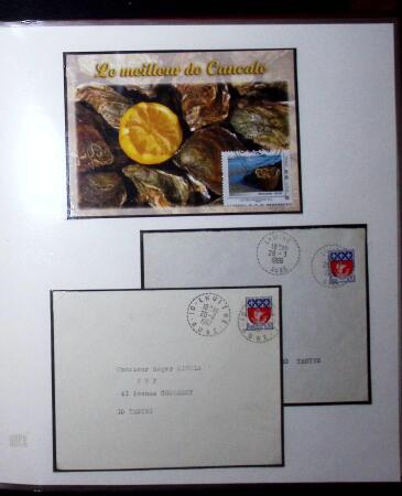 THEMATIC COLLECTION of sea shells in 9 albums