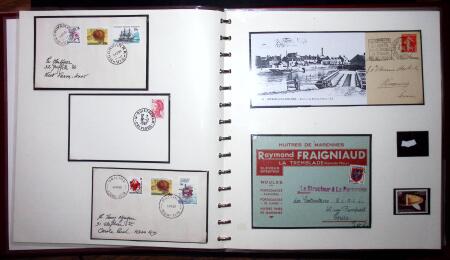 THEMATIC COLLECTION of sea shells in 9 albums