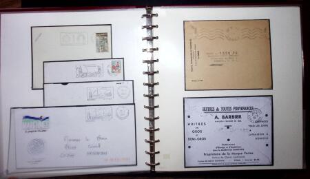 THEMATIC COLLECTION of sea shells in 9 albums