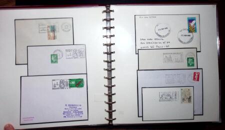 THEMATIC COLLECTION of sea shells in 9 albums