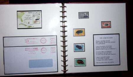 THEMATIC COLLECTION of sea shells in 9 albums