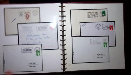 THEMATIC COLLECTION of sea shells in 9 albums