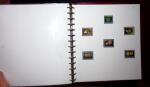 THEMATIC COLLECTION of sea shells in 9 albums