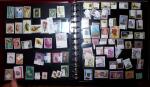 THEMATIC COLLECTION of sea shells in 9 albums