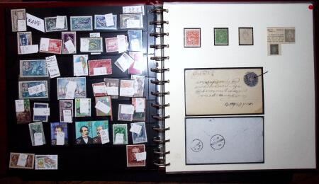 THEMATIC COLLECTION of sea shells in 9 albums