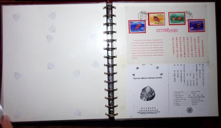 THEMATIC COLLECTION of sea shells in 9 albums