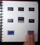 THEMATIC COLLECTION of sea shells in 9 albums