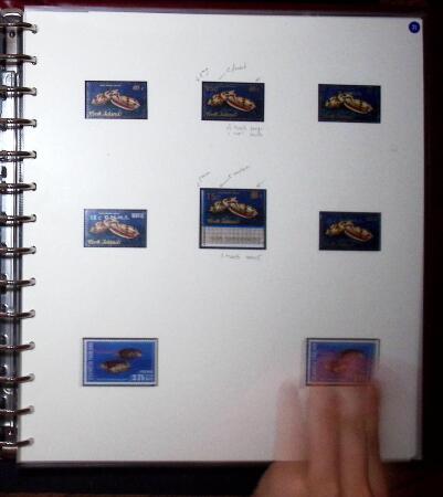 THEMATIC COLLECTION of sea shells in 9 albums