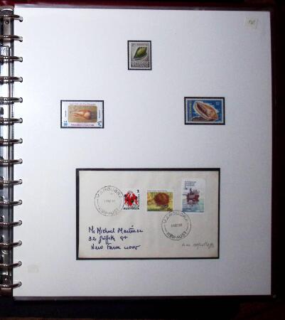 THEMATIC COLLECTION of sea shells in 9 albums