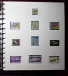 THEMATIC COLLECTION of sea shells in 9 albums