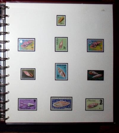 THEMATIC COLLECTION of sea shells in 9 albums