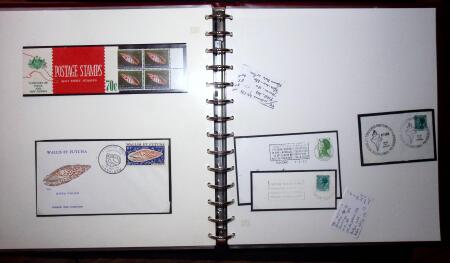 THEMATIC COLLECTION of sea shells in 9 albums