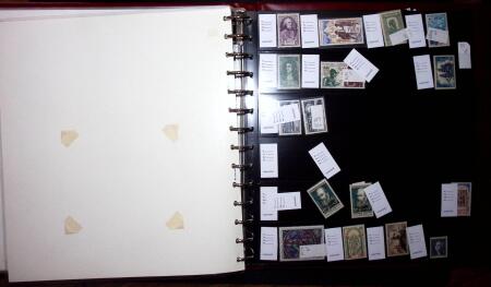 THEMATIC COLLECTION of sea shells in 9 albums