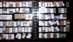 THEMATIC COLLECTION of sea shells in 9 albums