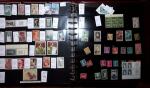 THEMATIC COLLECTION of sea shells in 9 albums