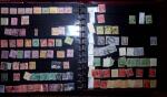 THEMATIC COLLECTION of sea shells in 9 albums