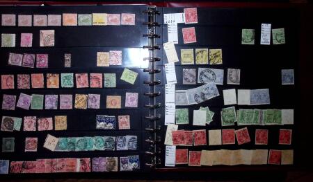 THEMATIC COLLECTION of sea shells in 9 albums