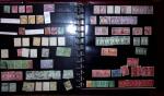 THEMATIC COLLECTION of sea shells in 9 albums