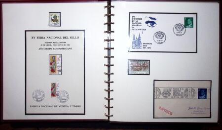 THEMATIC COLLECTION of sea shells in 9 albums