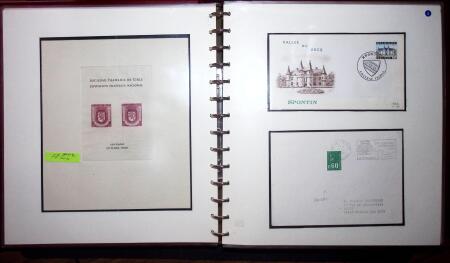 THEMATIC COLLECTION of sea shells in 9 albums