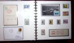 THEMATIC COLLECTION of sea shells in 9 albums