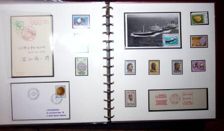 THEMATIC COLLECTION of sea shells in 9 albums
