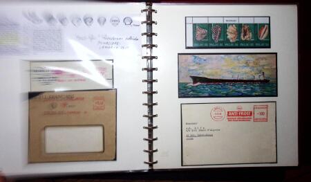 THEMATIC COLLECTION of sea shells in 9 albums