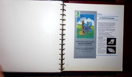 THEMATIC COLLECTION of sea shells in 9 albums