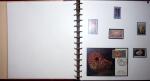 THEMATIC COLLECTION of sea shells in 9 albums