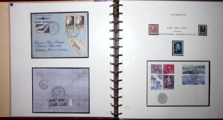 THEMATIC COLLECTION of sea shells in 9 albums