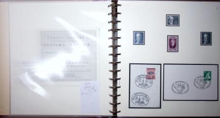THEMATIC COLLECTION of sea shells in 9 albums
