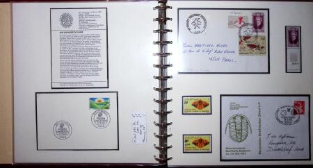 THEMATIC COLLECTION of sea shells in 9 albums
