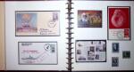 THEMATIC COLLECTION of sea shells in 9 albums