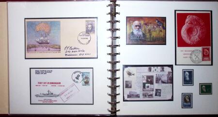 THEMATIC COLLECTION of sea shells in 9 albums
